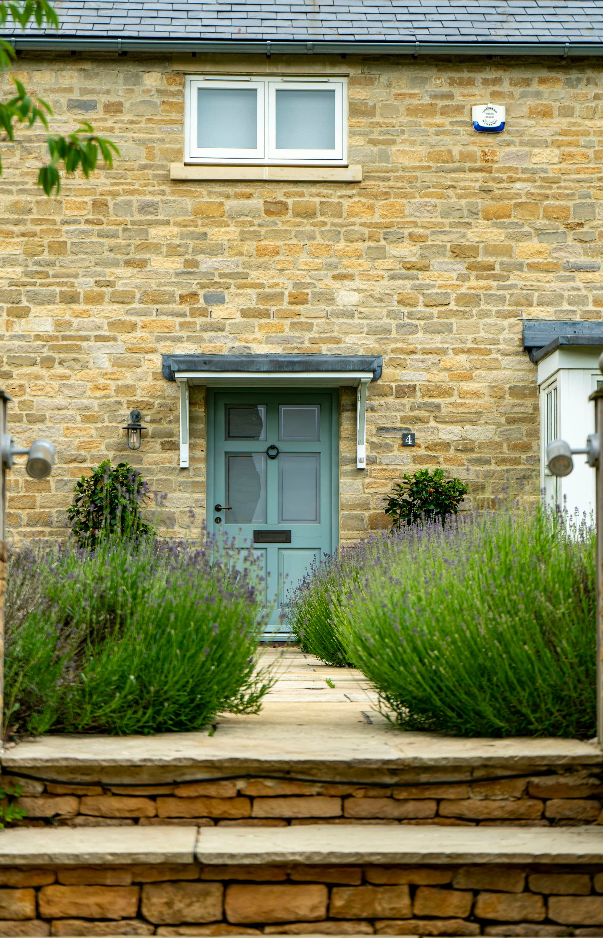 A sage front door with lavender beside the path